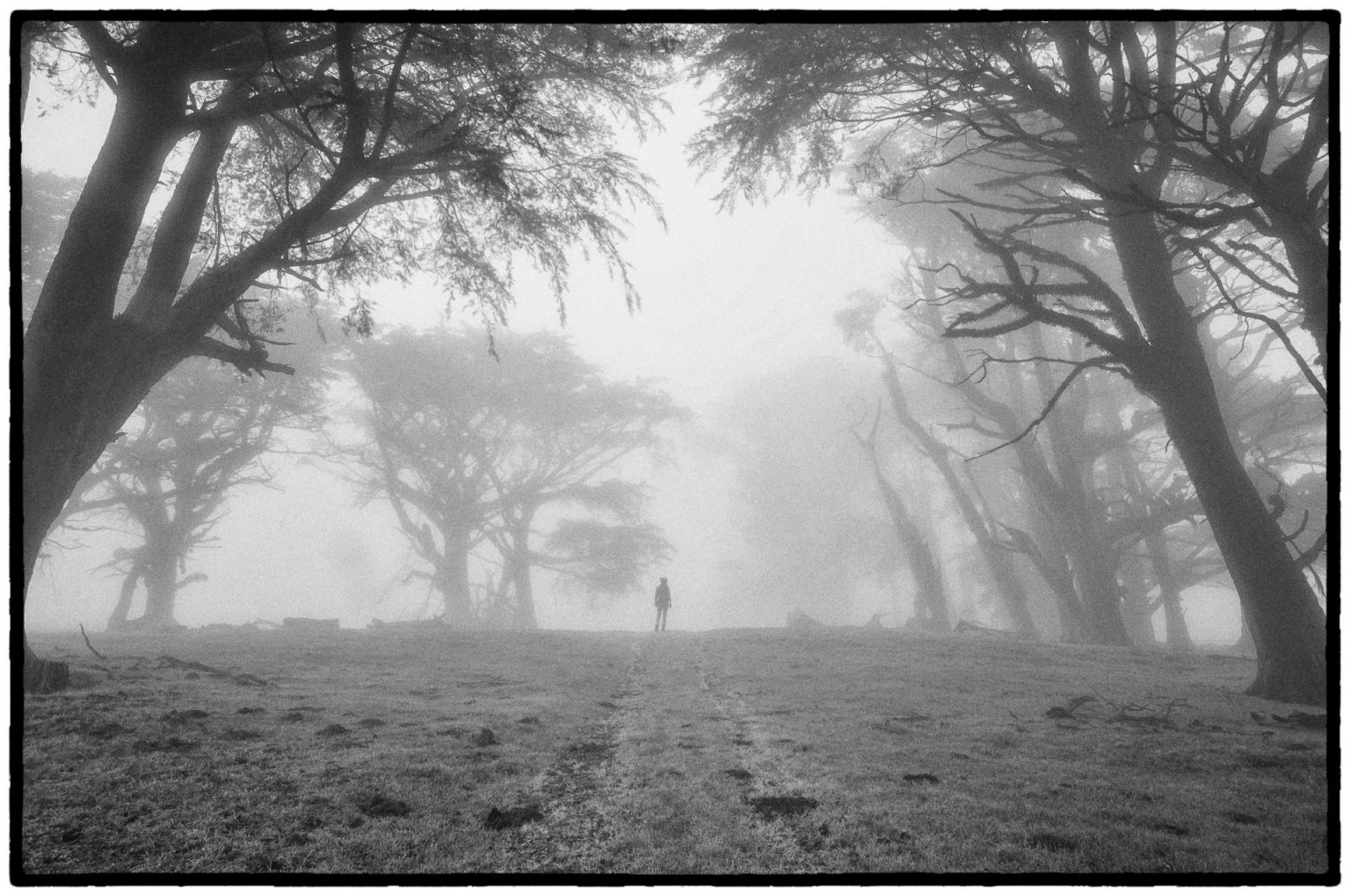 tararua-ranges-glen-howey-photography